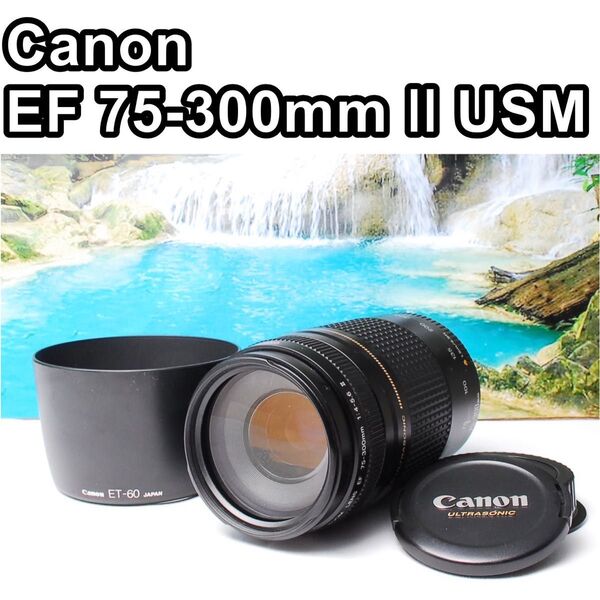 Canon EF 75-300mm 1:4-5.6 Ⅱ USM 超望遠レンズ