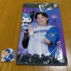 北海道日ハムファイターズ 田宮裕涼 かわいいシリーズ クロミ タオル ファイターズガチャ 缶バッジ