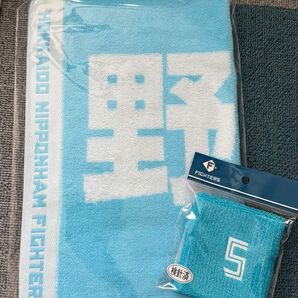 北海道日本ハムファイターズ 野村佑希 父の日 ライトブルー タオル リストバンド