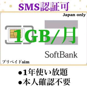 SoftBank プリペイドSIM データ通信 1GB/受信可能 sms認証