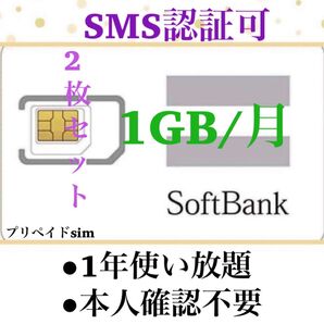 SoftBank プリペイドSIM データ通信 1GB/受信可能 sms認証