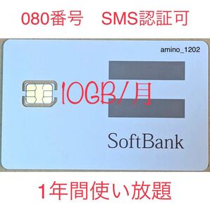 SoftBank プリペイドSIMカード 高速毎月10GB SMS受信可