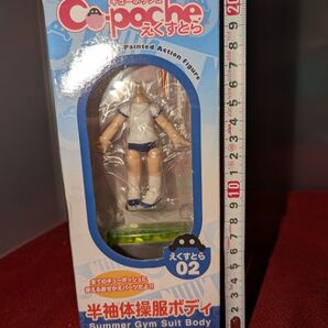 中身のみ キューポッシュ えくすとら 02 半袖体操服ボディ フィギュア