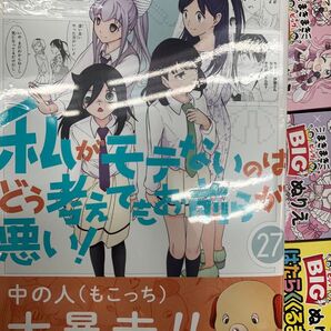 裁断済 私がモテないのはどう考えてもお前らが悪い 27
