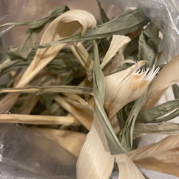 小動物のおやつ★乾燥,とうもろこしの皮 30g〜