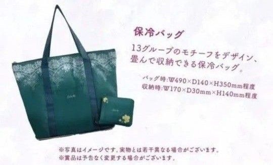 WACOAL サルート13グループ ノベルティ 保冷バック 新品未使用 未開封品