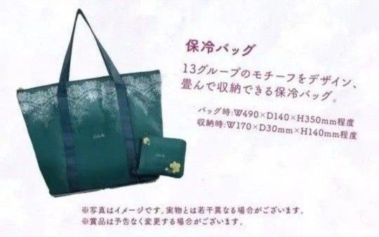 WACOAL サルート13グループ ノベルティ 保冷バック 新品未使用 未開封品
