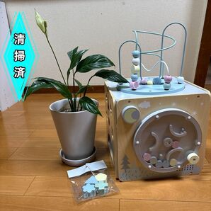 【送料無料】知育玩具 木製 プレイトイボックス清掃