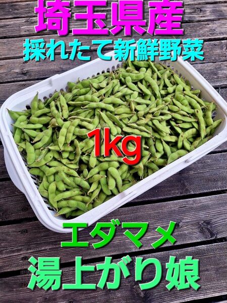 埼玉県産採れたて新鮮野菜 訳あり枝豆 湯上がり娘 1kg