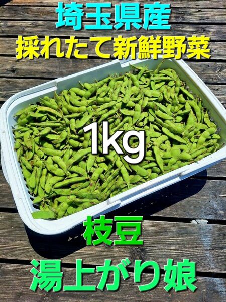 埼玉県産採れたて新鮮野菜 訳あり枝豆 湯上がり娘 1kg