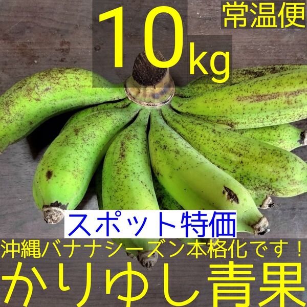 〈スポット特価〉沖縄県産 雑種 島バナナB品 約10kg【常温便】①