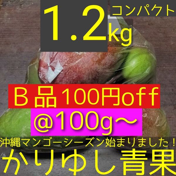 【100円off】沖縄県産 摘果マンゴー/青マンゴー/グリーンマンゴーB品@100g〜約1.2kg【コンパクト便】①