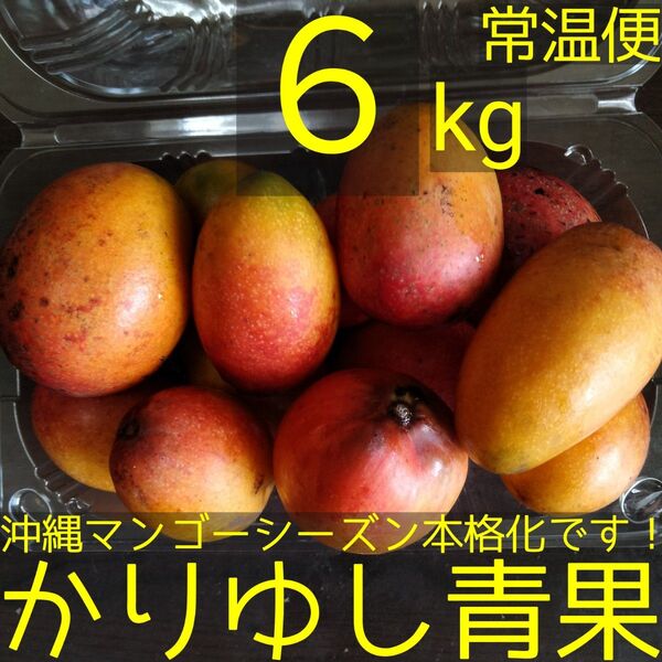 沖縄県産 ミニマンゴーB品 約6kg【常温便】①