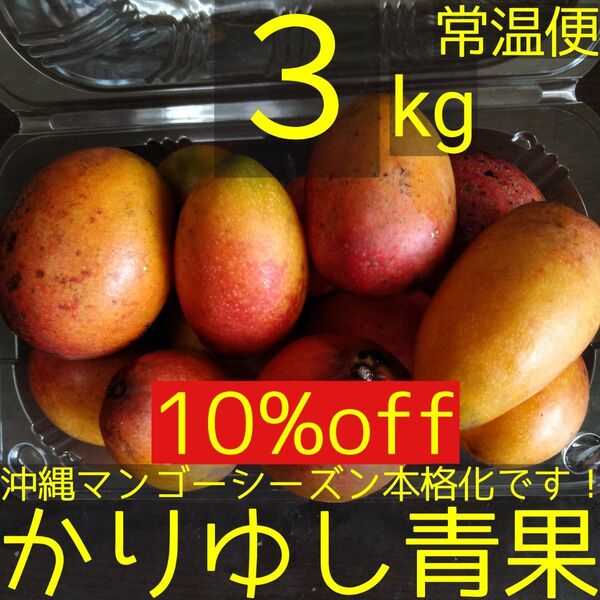 【10%off】沖縄県産 ミニマンゴーB品 約3kg【常温便】②