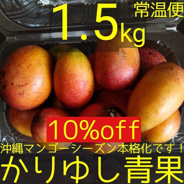 【10%off】沖縄県産 ミニマンゴーB品 約1.5kg【常温便】⑥