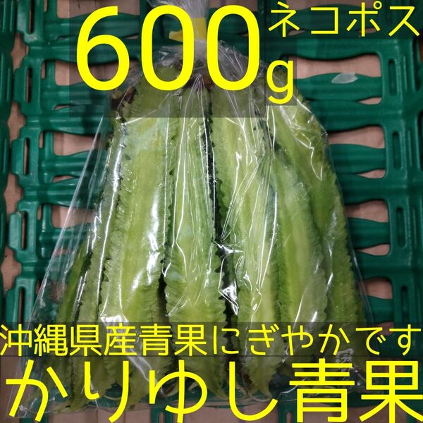 沖縄県産 うりずん豆(琉球四角豆)約600g 【ネコポス】③
