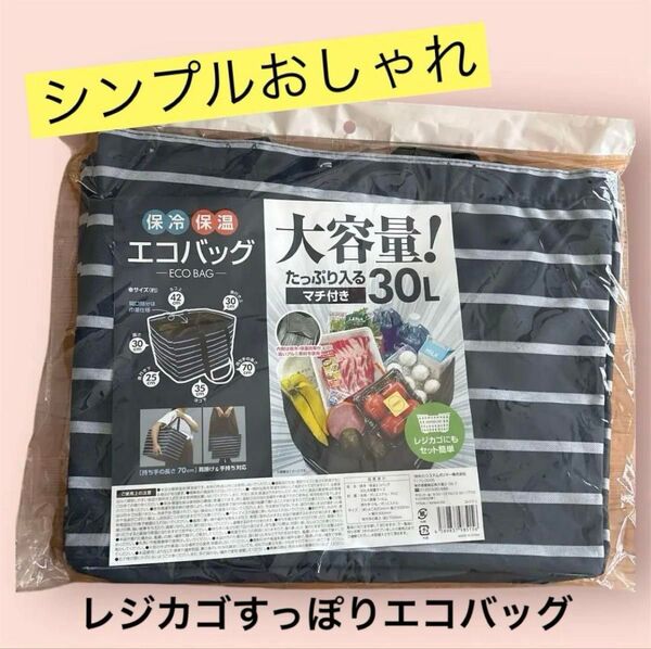 【新品】大容量 保冷レジカゴバッグ レジカゴにセット可アウトドアクーラーボックス
