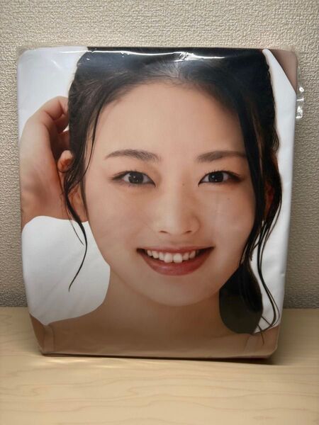 MENS DVD オリジナルグッズ 風吹ケイ抱き枕カバー 新品未使用品