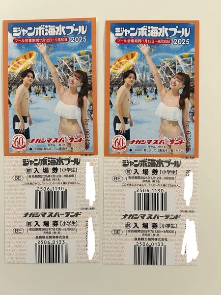 ナガシマスパーランド ジャンボ海水プール子供入場券 2枚