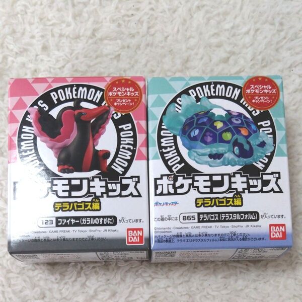 新品 未開封 ポケモンキッズ 2点 箱のまま発送 ポケモン 指人形 フィギュア ファイヤー テラパゴス クリア