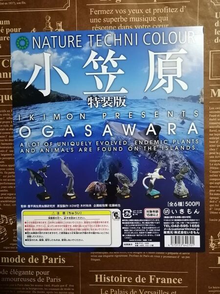 ガチャ 台紙 ネイチャーテクニカラー 小笠原 特装版 NTC