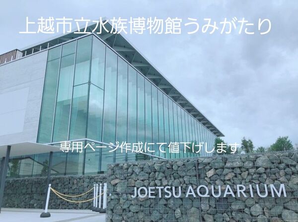 上越市立水族博物館うみがたり 西武グループ特別割引券