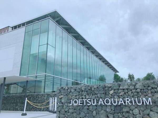 上越市立水族博物館うみがたり 特別割引券 水族館
