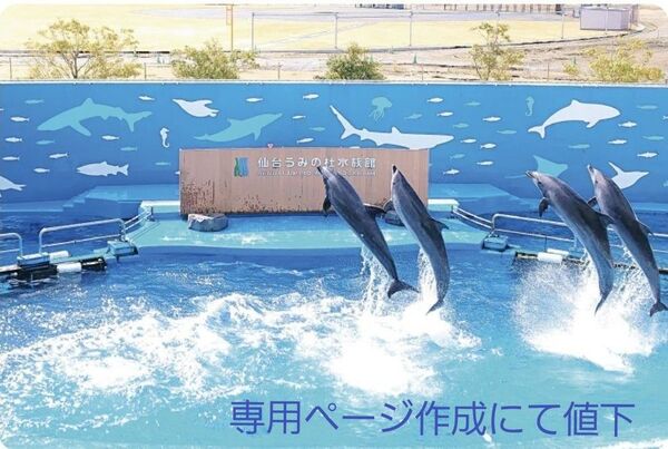 仙台うみの杜水族館 特別割引券