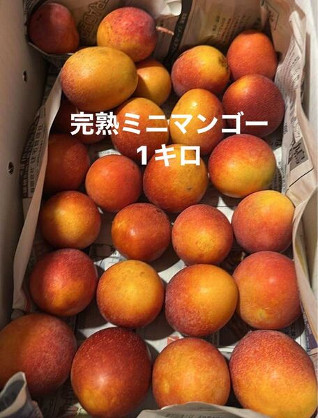完熟ミニマンゴー