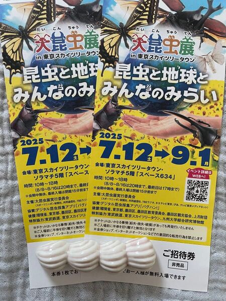 ★大昆虫展★東京スカイツリー★無料券★入場券★招待券★2枚セット★