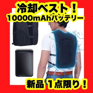 【大特価】【新品】水冷ベスト 10000mAhバッテリー 冷却面 -20℃ 究極冷感 保冷剤内蔵