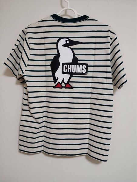 新品チャムスCHUMS 半袖TシャツMサイズBooby Logoブービーロゴ半袖カットソーメンズバックプリントグリーンボーダー