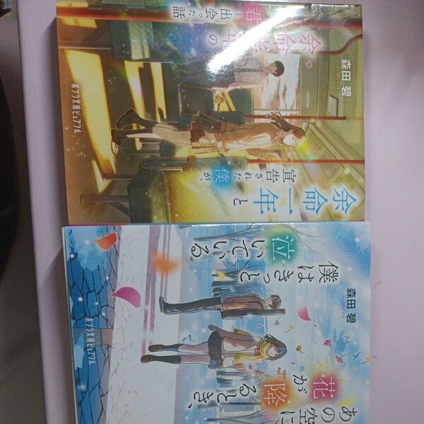 森田碧 書籍 あの空に花が降るとき、僕はきっと泣いている 余命1年と宣告された僕が、余命半年の君と出会った話 まとめ売り