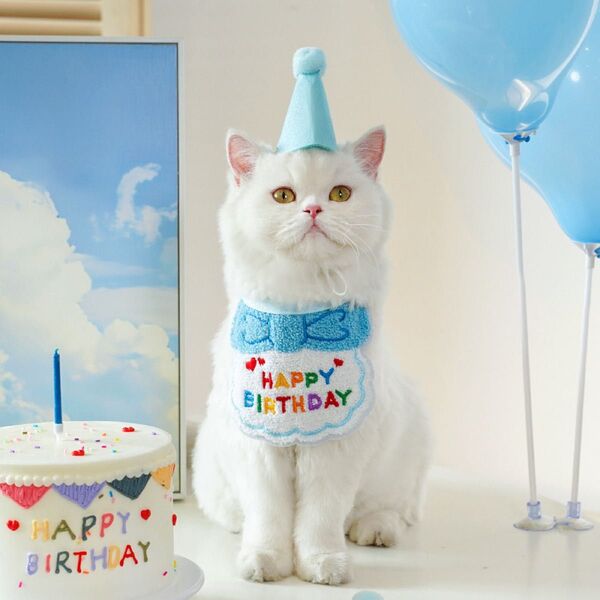 ペット バースデー 犬 猫 ブルー 水色 スタイ 帽子 2点セット 誕生日 映え