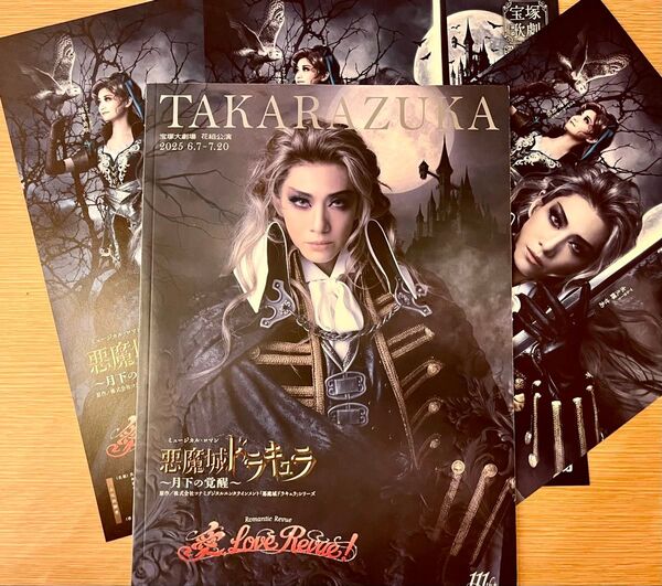 宝塚歌劇 花組 悪魔城ドラキュラ パンフレット 公演プログラム フライヤー 永久輝せあ 星空美咲