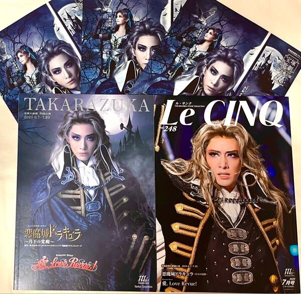 宝塚歌劇 花組 悪魔城ドラキュラ パンフレット 公演プログラム ルサンク 脚本掲載 舞台写真集 フライヤー 永久輝せあ 星空美咲