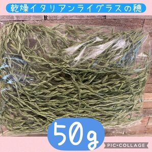 乾燥イタリアンライグラスの小穂のみ 50g 柔らかい若草の穂 無農薬 7/17乾燥 ウサギ モルモット ジリス等におススメ