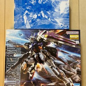MG エールストライクガンダム ver.RM & ランチャー/ソードストライカーパック