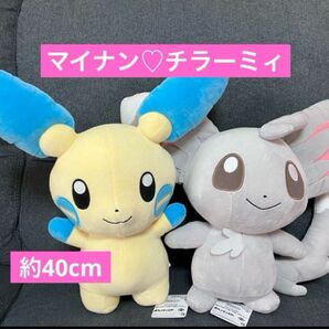 ポケモン マイナン チラーミィ ぬいぐるみ めちゃもふぐっと 新品タグ付き