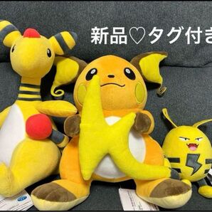 ポケモン エレキット ライチュウ デンリュウ ぬいぐるみ まとめ売り 新品