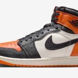 ナイキ ジョーダン 1 Nike Air Jordan 1 Retro High OG (2025)