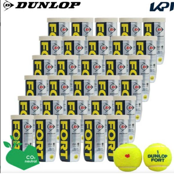 新品 ダンロップフォート DUNLOP FORT テニスボール 60球(2球×30缶)