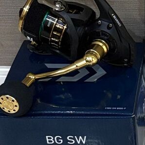 新品未使用 ダイワ BG SW 8000 P