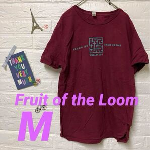 Fruit of the Loom バーガンディ Tシャツ 【M】