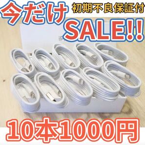 10本セットiPhone 充電ライトニングケーブル
