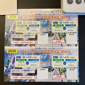ナガシマスパーランド パスポート券 2枚