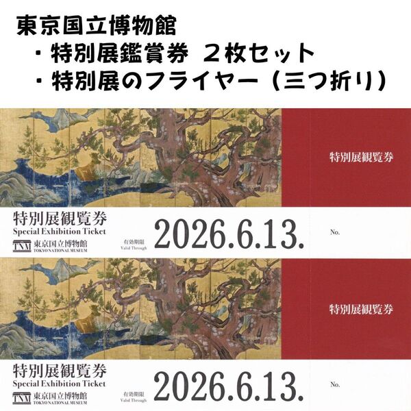 東京国立博物館 特別展観覧券(入場券)2枚セット 来年2026年06月13日まで イマーシブシアター・江戸大奥・運慶 など