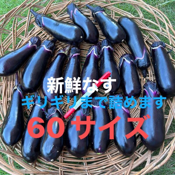 なす 朝どり 栽培期間中農薬不使用 除草剤不使用
