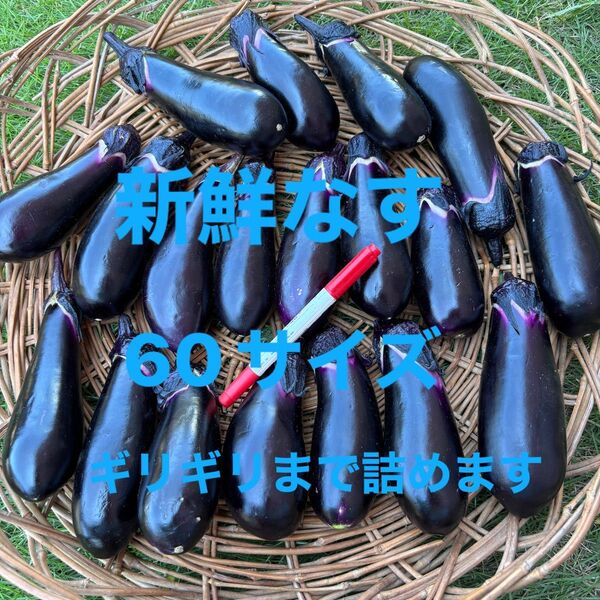 なす 朝どり 栽培期間中農薬不使用 除草剤不使用
