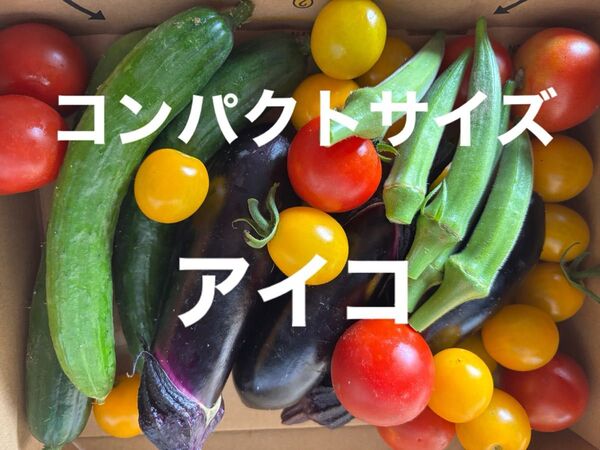 コンパクトサイズ野菜セット ミニトマト アスパラ オクラナス 水ナス 玉ねぎきゅうりゴーヤなどの中からおまかせで梱包